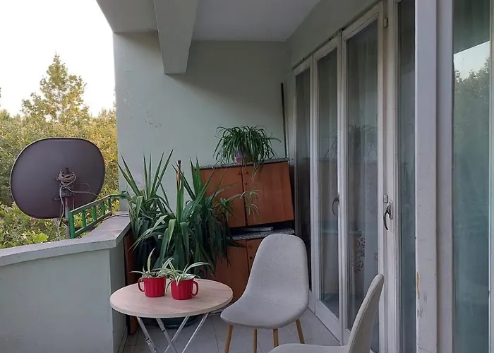 River Auberge de jeunesse Tirana