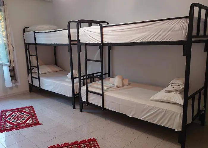 River Auberge de jeunesse Tirana