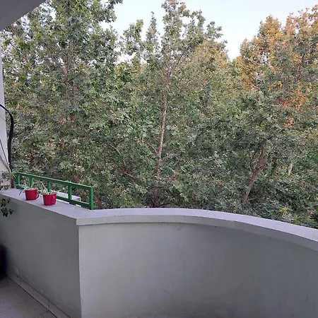 River Hostel *