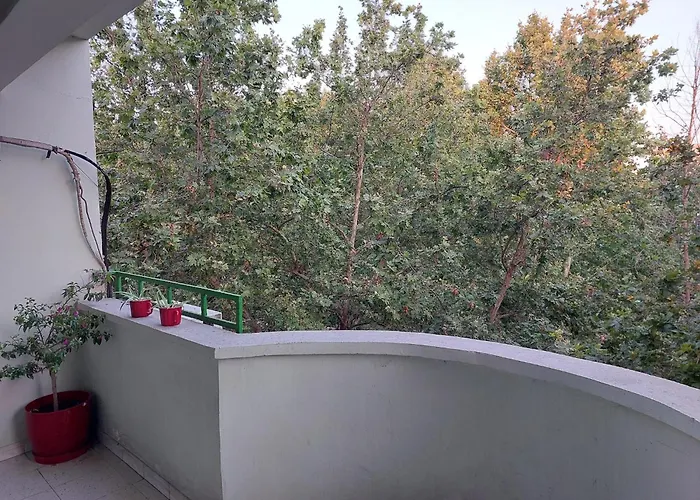 River Hostel *