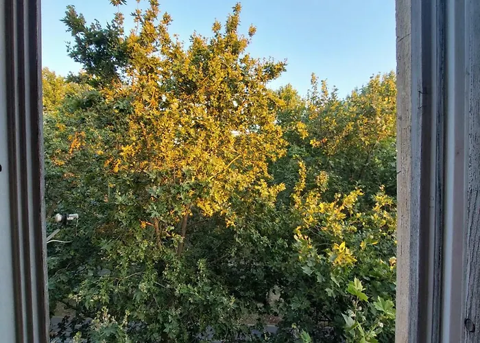Hostel River Tirana
